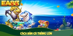 Cách bắn cá thắng lớn