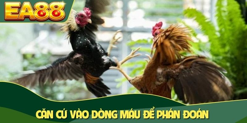 Căn cứ vào dòng máu để phán đoán Căn cứ vào dòng máu để phán đoán